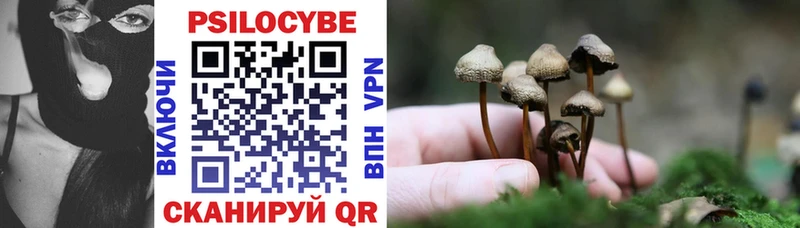 Псилоцибиновые грибы Psilocybine cubensis Лениногорск