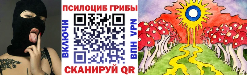 Псилоцибиновые грибы Psilocybe  Лениногорск 
